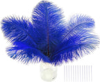 SOGUGOM Blue Craft Ostrich Feathers - 30PCS 8-10 inch Ostrich Feathers Kit for Centerpieces, Kindergarten Crafts, Dream Catchers and DIY Projects(Royal Blue)