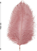 Larryhot Pink Ostrich Feathers Bulk- 16-18 inch 10pcs Feathers for Cfafts,Wedding Party Centerpieces, and Home Decorations (Lotus Pink)