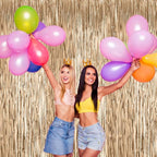 2 Pack Champagne Foil Fringe Backdrop Curtains, Tinsel Streamers Birthday Party Decorations, Fringe Backdrop for Anniversary, New Years, Birthday Party
