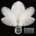 SOGUGOM White Craft Ostrich Feathers - 30PCS 8-10 inch Ostrich Feathers Kit for Centerpieces, Kindergarten Crafts, Dream Catchers and DIY Projects(Off White)