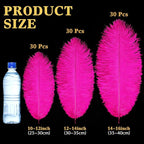 Maitys 90 Pcs Large Natural Ostrich Feathers Bulk 14-16 Inch (35-40cm) 12-14 Inch (30-35cm) 10-12 Inch (25-30cm) Ostrich Feathers Plumes for Centerpieces Wedding(Fuchsia)