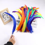 Holmgren Colorful Rooster Tail Feathers - 60pcs 12-14inch Natural Long Rooster Tail Feathers Bulk for DIY Crafts Hats Costume, Holiday Themed Party Decoration (Colorful)