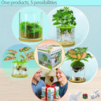 4 in 1 Plant Propagation Station Hydroponic Vase Planter Pot,Indoor Glass Terrarium Planter,Fresh Herb Garden Grow Kit,Home Office Decor,Christmas Birthday Gift for Gardener Women Parents Garden Lover