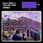 Ultimate Confetti, Purple Biodegradable Confetti - Rectangular Fluttering Tissue Paper Confetti for Cannon and Launcher use – Best for Gender Reveal, Parties, Concerts and Weddings - 20 lb, 320 oz