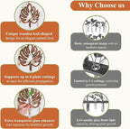 2Special Propagation Stations | Hanging Propagation Station and Wall Planters for Indoor Plants | Wooden Wall Vase, 6+1 Glass Propagation Vases for Plants | Leaf Shape Plant Propagation Station