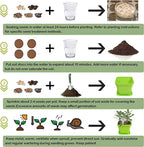 10 Herb Seeds Garden Starter Grow Kit with Green Pots, Markers, Nutritional Soil, Watering, Herb Clipper, Complete Indoor Potted Plant Growing Set for Kitchen DIY