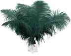 Ballinger Blackish Green Ostrich Feathers - 12Pcs 12-14inch Long Craft Feathers Bulk for Vase, Wedding Party Centerpieces Mardi Gras Decorations and Home Decor
