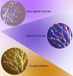 Hairui Lighted Birch Branches Battery Operated with 8 Functions 100 Multi Color and Warm White Lights, Pre Lit Twig Branches for Easter Christmas Party Room Decoration