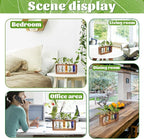 Glass Plant Propagation Station with 5 Test Tubes Colorful Planter Vase Birthday Gifts for Women in Wooden Stand