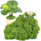 Draupnir Fake Green Moss for Plants Indoor, 5.3OZ Fake Moss for Crafts Preserved for DIY Decorative mossTable Centerpieces Decor Fairy Garden Floral Wedding (150g)