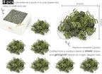 HUIHUANG Green Bows for Gift Wrapping Christmas Gift Bow 5 inch x 8 Counts Moss Green Self-Adhesive Curly Ribbon Bows for Presents, Paper Bag, Party Favors, Wrapping Accessories