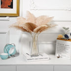 Holmgren Champagne Large Ostrich Feathers - 20pcs Making Kit 22 Inch Boho Feather Decor for Vase, Floral Arrangement, Wedding Party Centerpieces Home Decorations（Champagne）