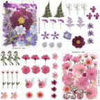 100 Pcs Dried Pressed Flowers for Crafts, Preserved & Dehydrated in Pink/Purple/Blue for Resin Art, Jewelry, Candle/Soap Making - Tweezers Included