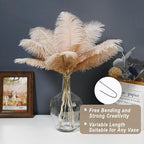 Holmgren Champagne Large Ostrich Feathers - 20pcs Making Kit 22 Inch Boho Feather Decor for Vase, Floral Arrangement, Wedding Party Centerpieces Home Decorations（Champagne）