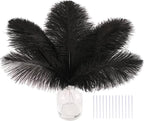 SOGUGOM Black Craft Ostrich Feathers - 30PCS 8-10 inch Ostrich Feathers Kit for Centerpieces, Kindergarten Crafts, Dream Catchers and DIY Projects(Black)