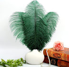 THARAHT Blackish Green Ostrich Feathers 12pcs Large Natural Bulk 16-18Inch 40cm-45cm for Wedding Party Centerpieces Mardi Gras Decoration Feather