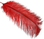 Happy Feather 16-18 inch Red Ostrich Feathers Craft for Wedding Party Centerpieces Home Decoration DIY Craft Pack of 10