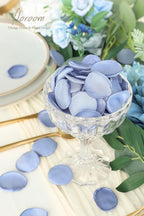 Floroom 300pcs Rose Petals Dusty Blue Faux Silk Flower Petals for Wedding Flower Girl Basket Aisle Scatter Dinner Table Centerpieces Party Confetti Bridal Shower Romantic Night Decoration