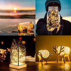 ANJAYLIA 4 Pack Fairy Lights 16.4ft 50 LED String Lights Battery Operated Mini Twinkle Starry Lights for Wedding, Party, Christmas, Decor, Warm White