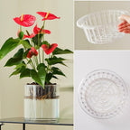 3 Acrylic Cylinder Clear Vase, Extra Large Unbreakable Plastic Flower Vases for Home Decor Centerpieces Hydroponic Plant Flower Shop Decorative (D 9.8" -D7.9 -D D6)