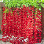 12 Pack Red Wisteria Hanging Flowers Garland, 3.77 Feet Artificial Flower Vines, Fake Wisteria, Artificial Vines Hanging Garland for Backdrop Outdoor Yard Garden Decor
