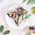 12/24 PCS Charming Dried Flowers Bouquet for Vase Various Dried Wildflowers with Stems Mini Handmade Wildflowers Natural Real Flowers Bulk Flowers Craft (Romantic Colour, 12 PCS)