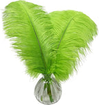 Happy Feather 16-18 inch Green Ostrich Feathers Craft for Wedding Party Centerpieces Home Decoration DIY Craft Pack of 10