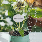 Temlum Plant Labels with Marker Pen, 25 Pcs Plant Garden Markers Garden Label Stakes Plant Sign Tags for Outdoor Plants, Flowers, Herbs, Seed (White)