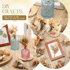 Layhit 12 Pack Boho Dried Flower Bouquet Mini Wedding Handmade Dry Flowers Decor for Vase Crafts DIY Photo Boutonniere for Men Floral Plant for Bridesmaid Gift Birthday Decor