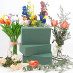 CCINEE 3 Pcs Floral Foam Bricks,Mini Florist Flower Foam Green Blocks Supplies for Fresh and Artificial Flower Arrangements Crafts DIY