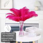 Holmgren Hot Pink Ostrich Feathers - 20pcs Making Kit 22 Inch Ostrich Feathers Bulk for Vase, Floral Arrangement, Home Wedding Party Centerpieces and Easter Gatsbi Decorations
