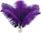 Ballinger Purple Ostrich Feathers Bulk - 24Pcs 12-14inch Big Feathers for Vase, Party Centerpieces Mardi Gras and Home Decor