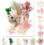 Vignee Real Dried Pressed Leaf Flowers-Multiple Colorful Pressed Flowers Daisies for Craft Resin Jewelry Making Art Craft DIY and Soap Candle Scrapbooking DIY Resin（Light Pink）