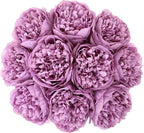 U'Artlines Artificial Peony Silk Flower with Stems 10pcs Real Look Vintage Peonies for Home Wedding Decoration (Purple)
