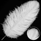 Larryhot White Large Ostrich Feathers - 28-30 inch 10pcs Feathers for Vase,Wedding Party Centerpieces and Home Decorations (White)