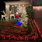 YEGUO 200 LED 66ft Christmas Lights Outdoor Waterproof, Red and Green String Lights Indoor, Green Wire Twinkle Tree Lights Plug in with Timer Memory 8 Modes