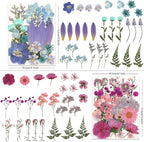 110P 4 Color Long Stem Dried Flowers for Crafts, Real Natural Pressed Flowers in Mixed Tones for Resin Art, DIY Crafts, Jewelry & Candle Decor – Tweezers Included