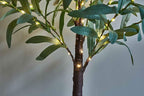 LITBLOOM Lighted Tabletop Olive Tree 18IN 50 LED Fairy Lights with Timer Battery Operated or USB Plug in Bonsai Tree for Wedding Christmas Spring Home Decoration