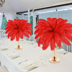 Retrowavy 30 Pcs 18-20 Inch Large Natural Ostrich Feathers Bulk for Centerpieces for Wedding Party Centerpieces Home Decoration Flower Arrangement (Red)