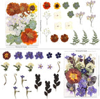 80P Vintage Pastel Dried Flowers for Crafts, Real Natural Pressed Flowers in Retro Soft Tones for Resin Art, DIY Crafts, Jewelry, Candle Decor & Scrapbooking – Tweezers Included