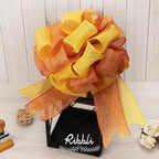 Ribbli Orange Burlap Wired Ribbon, 2-1/2” Inch x Continuous 20 Yard, Wired Edge Ribbon for Wreaths,Big Bows,Tree Decoration,Outdoor Decoration