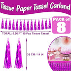 Hysilla Fuchsia Foil Fringe Metallic Tassel Streamers Banner Tassel Garland for Parade Floats, Bachelorette, Wedding, Birthday, Halloween, Christmas, Bridal/Baby Shower Party Decorations