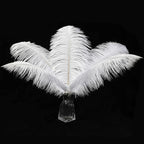 12pcs Natural White Ostrich Feathers 12-14inch (30-35cm) for Wedding Party Centerpieces，Flower Arrangement and Home Decoration.
