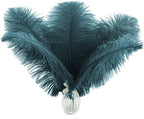 Ballinger Teal Ostrich Feathers Bulk - 24Pcs 12-14inch Feathers for Party Centerpieces,DIY Crafts and Home Decor
