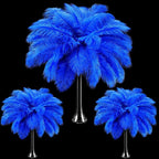 Maitys 90 Pcs Large Natural Ostrich Feathers Bulk 14-16 Inch (35-40cm) 12-14 Inch (30-35cm) 10-12 Inch (25-30cm) Ostrich Feathers Plumes for Centerpieces Wedding(Royal Blue)