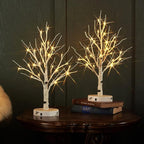 LITBLOOM 2 Sets Lighted Tabletop Birch Tree with Timer USB Plug-in or Battery Operated, Easter Tree Lights 18IN 24 LED for Wedding Party Christmas Table Decoration