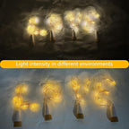 Wine Bottle Cork Lights, Rechargeable & USB Powered, 78 Inches, 10 Star-Shaped LED Copper Wire Lights, Waterproof, Perfect for DIY Parties, Home Decor, Christmas & Weddings (Warm Light)