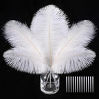 SOGUGOM White Craft Ostrich Feathers - 30PCS 8-10 inch Ostrich Feathers Kit for Centerpieces, Kindergarten Crafts, Dream Catchers and DIY Projects(White)