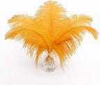 24pcs Natural Luxury Gold Ostrich Feathers 10-12inch (25-30cm) for Wedding Party Centerpieces，Flower Arrangement and Home Decoration.