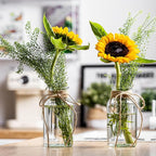 Vintage Glass Vases, Mason Jars for Centerpieces, Farmhouse Mason Jar Vase with Rope Design, Centerpiece Vases for Table, Wedding & Home Decor (6)
